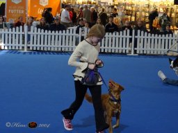 Haustiermesse am 1.03.2026